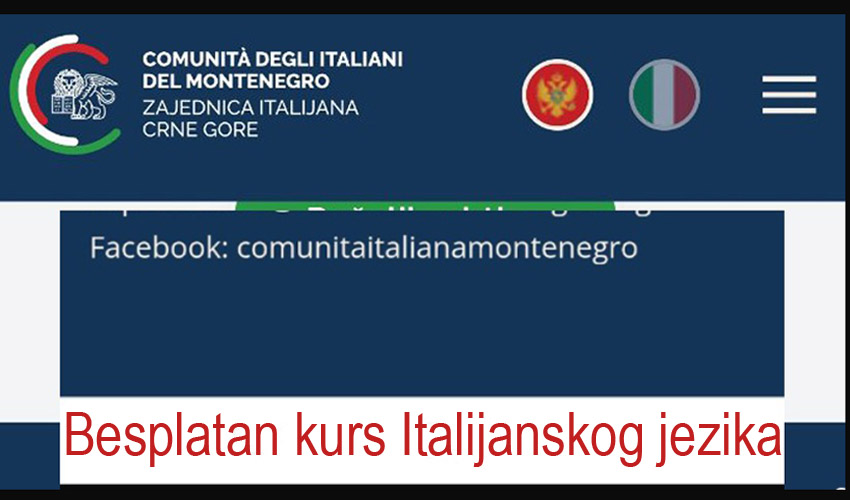 bozo kursit