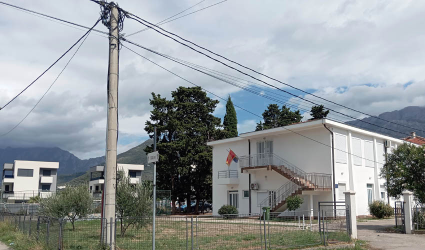 tabbij