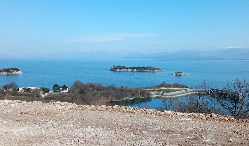 djada zoganj 1