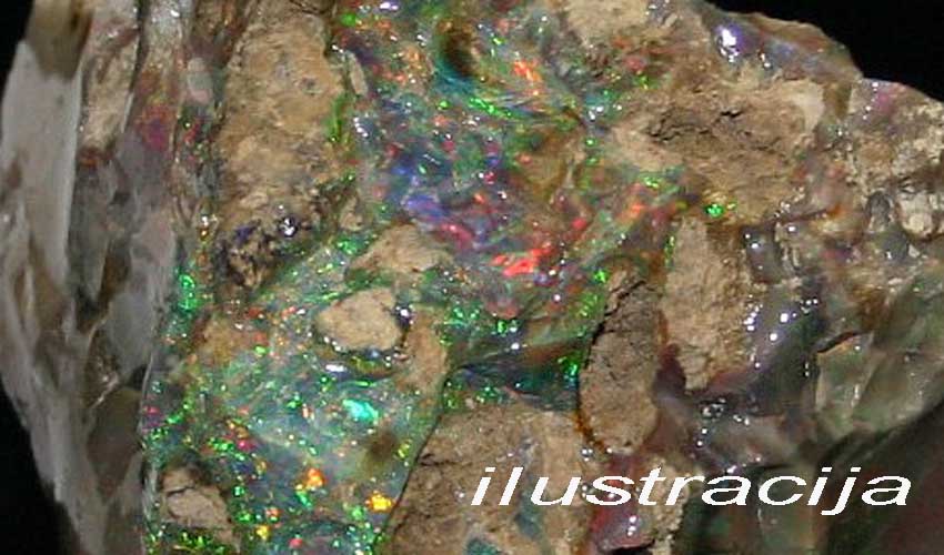 Nev opal09