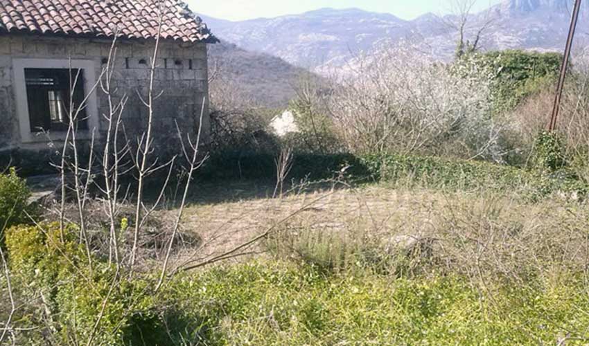 sedma