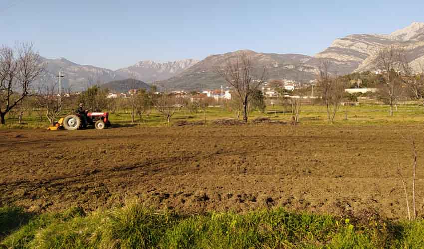 oranje bašte 