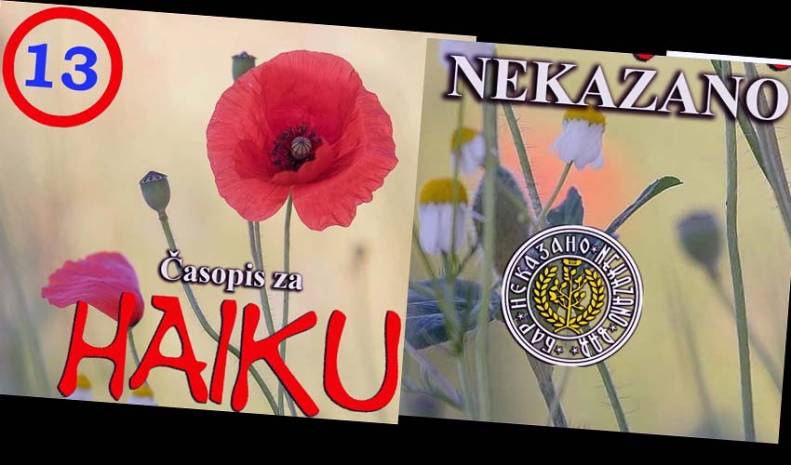 Nekazano poziva haiđine 