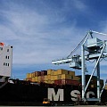 lb msc