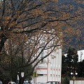 granne