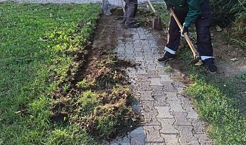 korovv 1