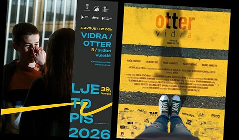 plt vidra