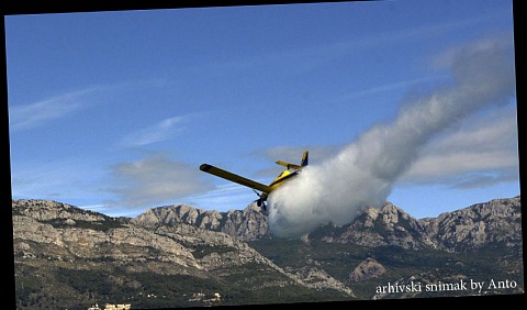 zuti avion