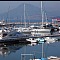 marinicca